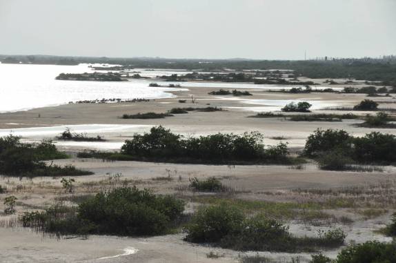 Salinas e região de flamingos no litoral norte do Yucatán, no México